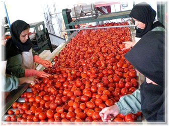 روستا تعاون