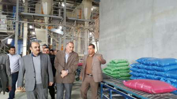 تعاونی
